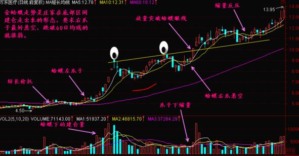 金蛤蟆形态实战教程