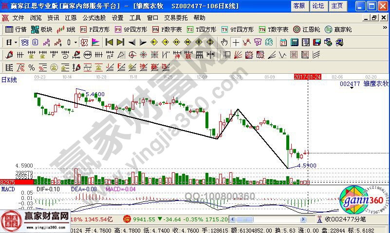 雏鹰农牧近期走势图