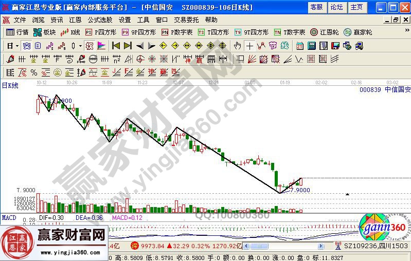 中信国安近期走势图