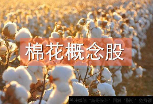 最全棉花涨价概念股解读!