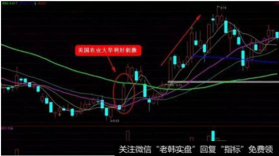 敦煌种业,2012年6月——9月