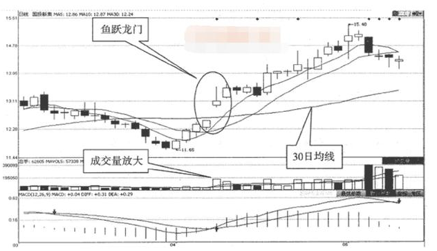 鱼跃龙门 鱼跃龙门